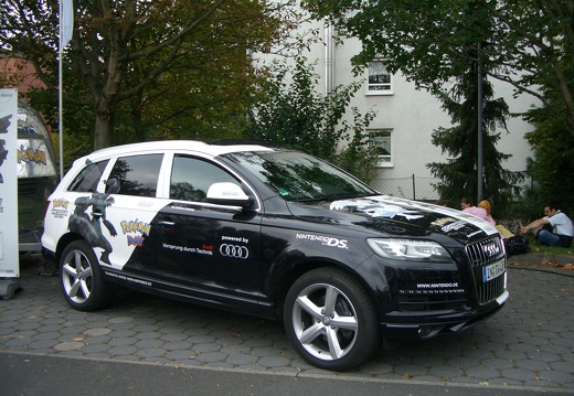 CIMG2556 (16090 Besuche) CIMG2556