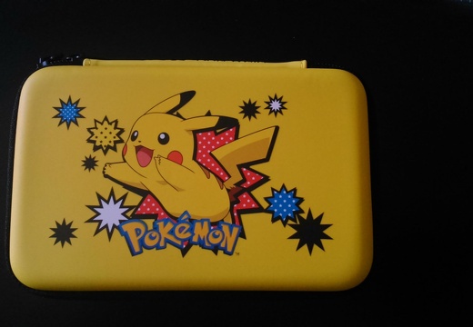 3DS-Tasche (8372 Besuche) 3DS-Tasche
