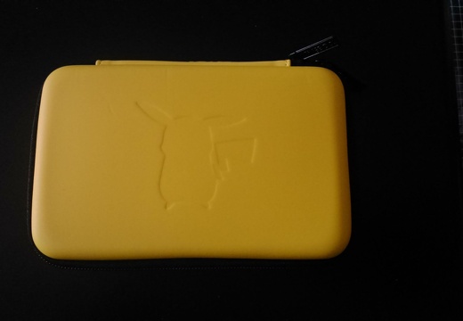 3DS-Tasche (7736 Besuche) 3DS-Tasche