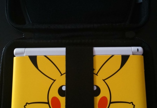 3DS-Tasche (8400 Besuche) 3DS in der Tasche 3DS-Tasche
