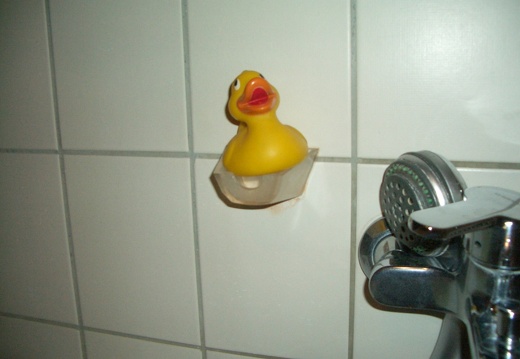 Quietscheentchen (15751 Besuche) mein Quietscheentchen Quietscheentchen