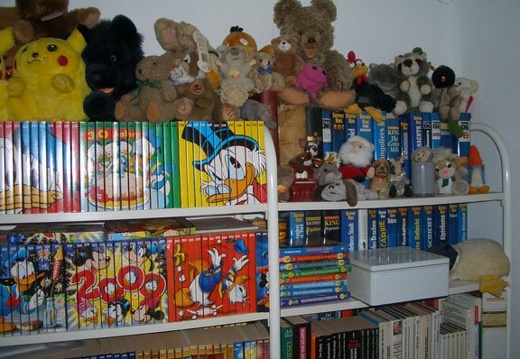Bücherregal (9668 Besuche) Bücherregal Bücherregal