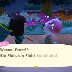 Flöhe