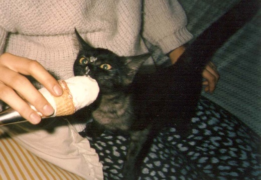 GinomeGelati (15001 Besuche, Bewertungspunktzahl 5.00) Deshalb der Name. Meine Ginome liebte Eis. Am liebsten Nusseis.
Wenn man ein Eis hatte war es unmö... GinomeGelati