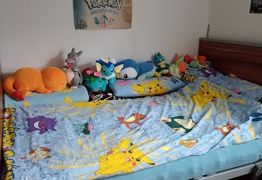 Mein Bett (8723 Besuche) in meinem Bett schlafe nicht nur ich ^^ Mein Bett
